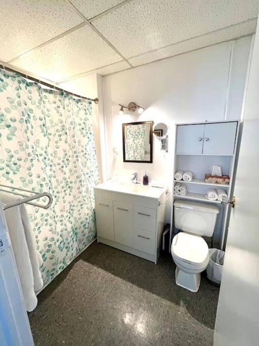 Les Appartements Du Vieil Edifice Metabetchouan エクステリア 写真