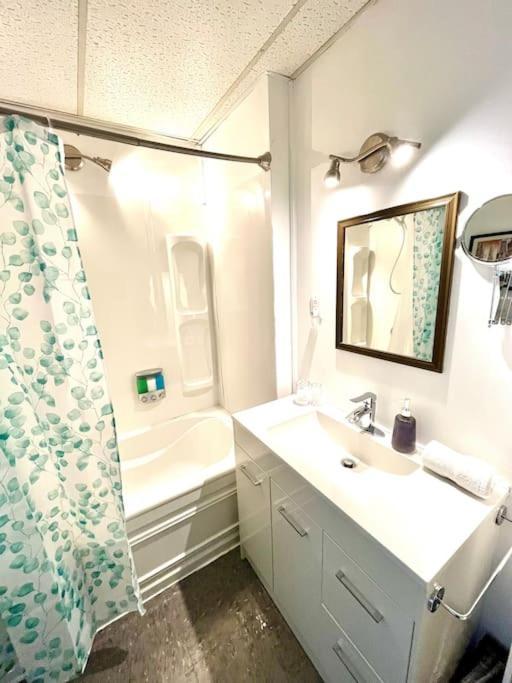 Les Appartements Du Vieil Edifice Metabetchouan エクステリア 写真